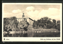 AK Dessau, Blick Vom Gestänge Auf Das Schloss  - Dessau