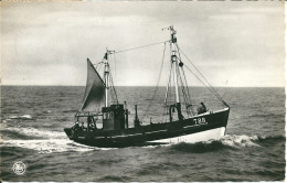 Retour De Peche - Terugkomst Van De Visvangst - Fishing Boats