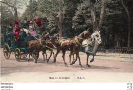 2V11Bv   Paris Bois De Boulogne Caléche Attelage En Gros Plan - Public Transport (surface)