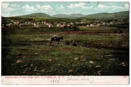 CPA - USA - CATSKILLS, N.Y. - Tannersville From Clum Hill (âne) - Catskills