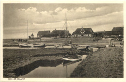 Hallig Oland - Halligen