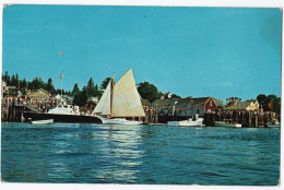 Friendship Harbor Dressed Up For Sloop Day - Sonstige & Ohne Zuordnung