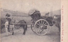 485247Dintorni Di Roma, Costumi Carri Da Vino.   - Transport