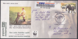 Inde India 2012 Special Cover Billy Tiger, Tigers, Wildlife, Wild Life, WWF, Animals, National Park, Pictorial Postmark - Storia Postale