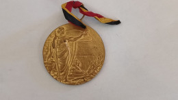 RARE Et Introuvable Médaille Belge : Section Neutre Des Pensionnés Anderlues 50 Mm 48 G - Sonstige & Ohne Zuordnung