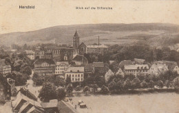 DE416  --   BAD HERSFELD  --  BLICK AUF DIE STIFTSRUINE  --  1920 - Bad Hersfeld