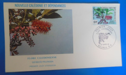 LETTRE 1 Er JOUR DE NOUVELLE CALEDONIE -    1981 - FDC