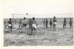 VOLLEY-BALL Sur La Plage - Volleybal