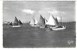 REGATES à L'AIGUILLON - LA FAUTE SUR MER (85) - Sailing
