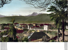 D31  SAINT-GAUDENS  Le Pic De Cagire Et La Chaîne Des Pyrénées  ...... ( Ref FF1094 ) - Saint Gaudens