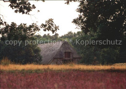 72585676 Lueneburger Heide Innmuehlen Heidschnuckenstall Dirk Rademaker Walsrode - Walsrode