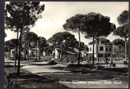 ITALIE - MILANO MARITTIMA - Viale Verdi - Autres & Non Classés