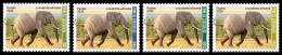 MALI 2024 SET 4V - ELEPHANT ELEPHANTS - INTERNATIONAL DAY BIODIVERSITY - MNH - Elefantes