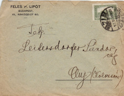 POSTAL HISTORY ,JUDAIKA,STAMPS ON ENTERPRISE HEADER COVER, 1923, HUNGARY - Brieven En Documenten