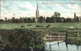 11193633 Salisbury Wiltshire Cathedral Salisbury - Sonstige & Ohne Zuordnung