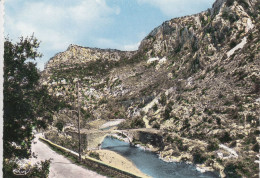 GANGES Environs (Hérault): Le Pont Des Chèvres - Ganges