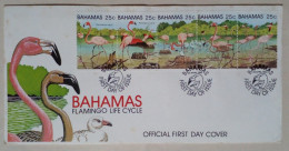 Bahamas - Enveloppe Premier Jour D'émission Avec Timbres Thème Flamants Roses (1982) - Flamingo