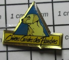 613e Pin's Pins / Beau Et Rare / THEME : ANIMAUX / CHIENS GUIDES DES FLANDRES - Dieren