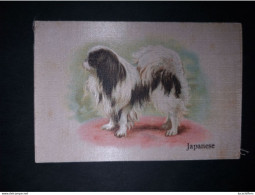 BEST DOGS OF THEIR BREED - Cigarettes 8 X 5.5 CM - Soie - Japanese - 2 Scans - Autres & Non Classés