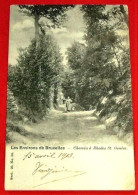 SINT GENESIUS RODE  - Chemin à Rhode-St-Genèse  -    1903    - - Rhode-St-Genèse - St-Genesius-Rode