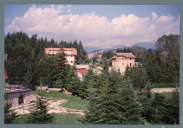 °°° Cartolina - Altipiani Di Arcinazzo Scorcio Panoramico Foto - Nuova °°° - Frosinone