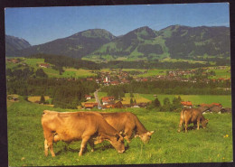 AK 212270 COW / KUH - Fischen - Vaches