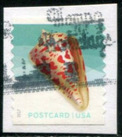 VEREINIGTE STAATEN ETATS UNIS USA 2017 SEASHELLS:ALPHABET CONE SHELL COIL USED ON PAPER SN 5167 MI 5167 YT 4974A SG 5774 - Gebruikt