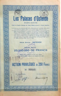 Les Palaces D'Ostende - Action Priviligiée De 250 Fr - 1928 - Ostende - Casinos