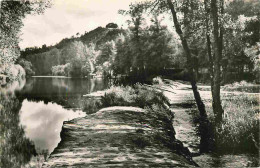 14 - Clécy - Le Chemin Du Barrage - La Suisse Normande - Carte Dentelée - CPSM Format CPA - Carte Neuve - Voir Scans Rec - Clécy