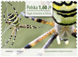 ** 4504-7 Poland Protected Spiders 2013 - Araignées