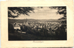 Emmendingen In Baden - Emmendingen