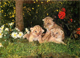 Animaux - Fauves - Lion - Réserve Africaine Du Château De Thoiry En Yvelines - Lionceaux Au Milieu Des Fleurs - Zoo - CP - Löwen