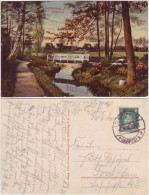 Ansichtskarte Senftenberg (Niederlausitz) Schloßwall 1918 - Senftenberg