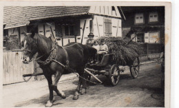 Agricole Carte Photo Animée Attelage Ferme Paysan Cheval - Wagengespanne