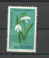 POLAND  1962 - FLOWERS  MNH - Unused Stamps