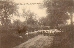 91* BRUNOY  Foret De Senart  Moutons     RL10.0170 - Brunoy