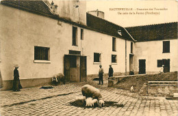 77* HAUTEFEUILLE Domaine Tournelles  La Ferme  Porcs      RL12.1221 - Boerderijen