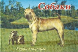 Russie 2002 Yvert N° 6622-6626 ** Chiens Emission 1er Jour Carnet Prestige Folder Booklet. - Ongebruikt