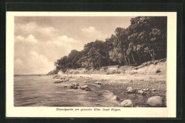 AK Rügen, Strandpartie Am Grossen Vilm  - Ruegen