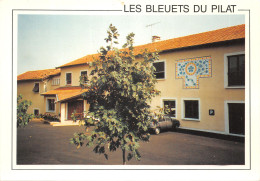 42-PELUSSIN-LES BLEUETS DU PILAT-N 590-B/0347 - Pelussin