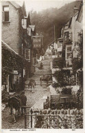 England Clovelly High Street Donkeys Photo - Clovelly