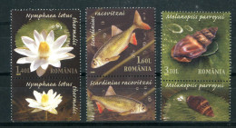 ROMANIA 2008** - Riserva Naturale Petea Creek.- 3 Val. MNH. - Ungebraucht