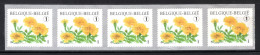 R116 MNH 2008 - Bloemen Tagetes Patula 5 Stuks Met Nummer - Rouleaux