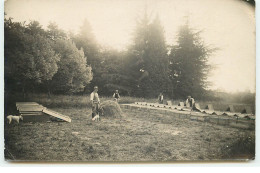 Carte-Photo - CHEVREUSE - Château De Meridon ??? - Elevage De Faisans - Chevreuse