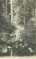 88  SAINT ETIENNE - SOUS BOIS A LA CASCADE DE MIRAUMONT (ref 7289) - Saint Etienne De Remiremont