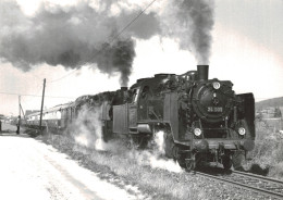 Locomotive Allemande - DB Dampflokomotive - 24 009 U. 083 Mit Den FEK Rheingoldzug Bei Lengerich (TWEB)  4-80 - H.Palmer - Chemin De Fer