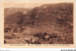 ADUP4-39-0291 - MESNAY-AUX-PLANCHES - Vallée De Mesnay  - Arbois