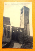 DAMME  -  O. L. Vrouw Kerk - Toren En Ruïne  - Eglise Notre Dame - Clocher Et Ruine - Damme