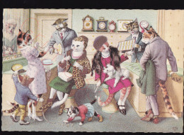 Alfred Mainzer - Chats Humanisés Et Habillés - Postkaart - Dressed Animals