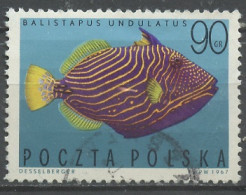 Pologne - Poland - Polen 1967 Y&T N°1602 - Michel N°1772 (o) - 90g Balistapus Undulatus - Gebruikt